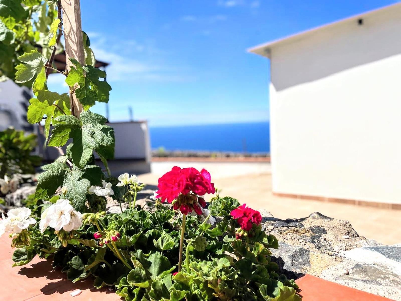 Casa De Leo * Icod De Los Vinos